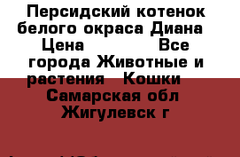 Персидский котенок белого окраса Диана › Цена ­ 40 000 - Все города Животные и растения » Кошки   . Самарская обл.,Жигулевск г.